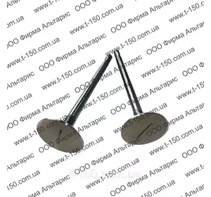 Клапан в ГБЦ Д-160, пускной/выпускной, 14-02-32/33 Клапан в ГБЦ Д-160, пускной/выпускной, 14-02-32/33