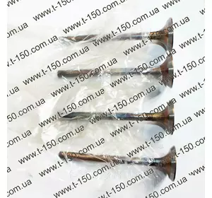 Комплект клапанов ГБЦ Д-240, 4+4, 240-1007014/015-Б4, Луганск Комплект клапанов ГБЦ Д-240, 4+4, 240-1007014/015-Б4, Луганск