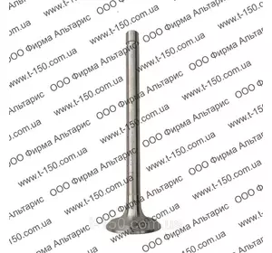 Клапан ГБЦ Д-240 (выпускной) малый, 240-1007015-Б4, Китай Клапан ГБЦ Д-240 (выпускной) малый, 240-1007015-Б4, Китай