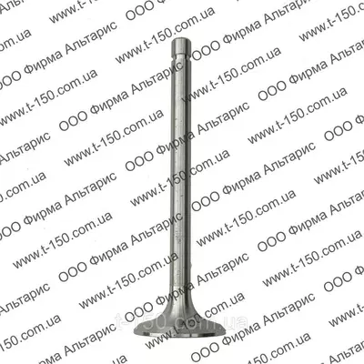 Клапан ГБЦ Д-240 (впускной) большой, 240-1007014-Б4, Китай